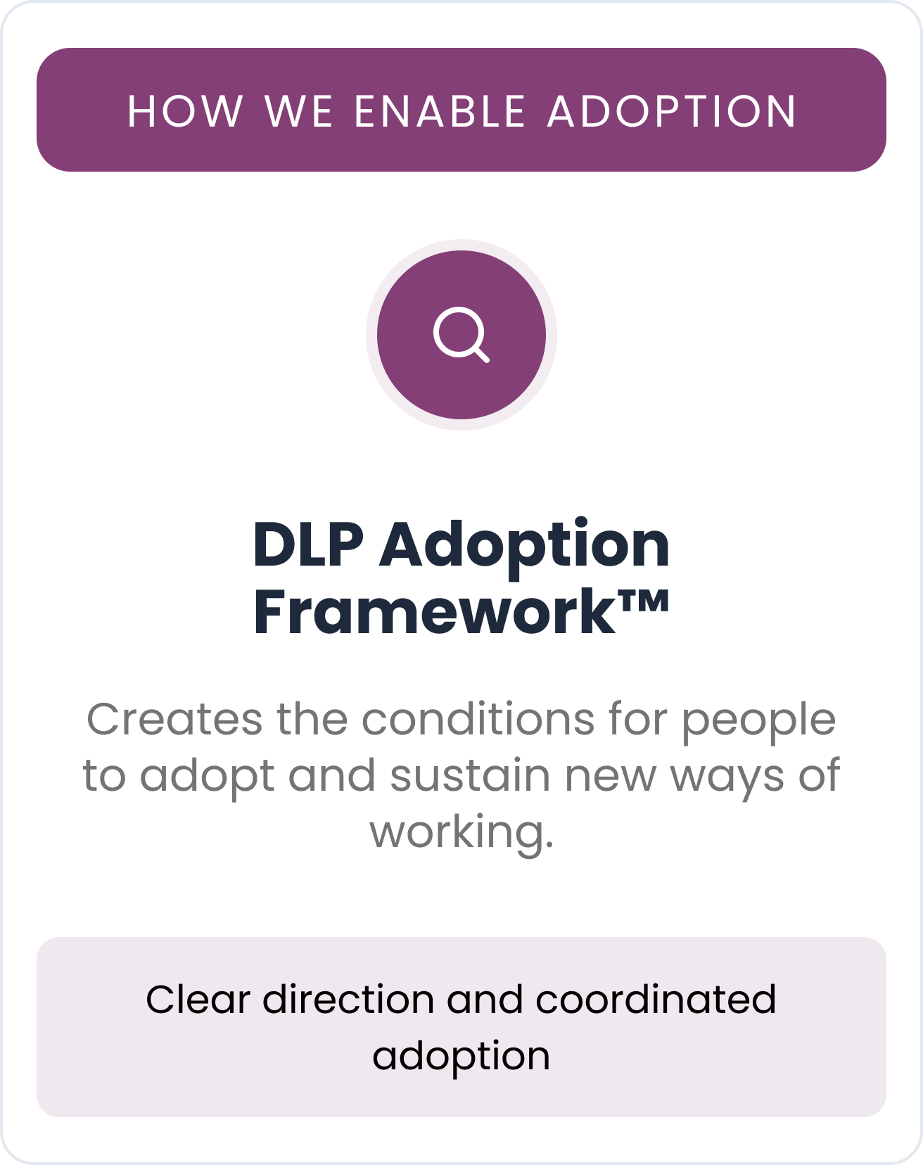 The DLP Digital Adoption Framework The DLP Digital Adoption Framework